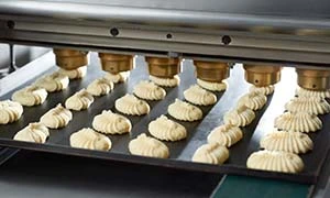 Food Processing Equipment