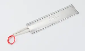 Lead Wires