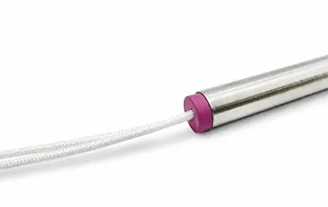 Internally connected flexible leads